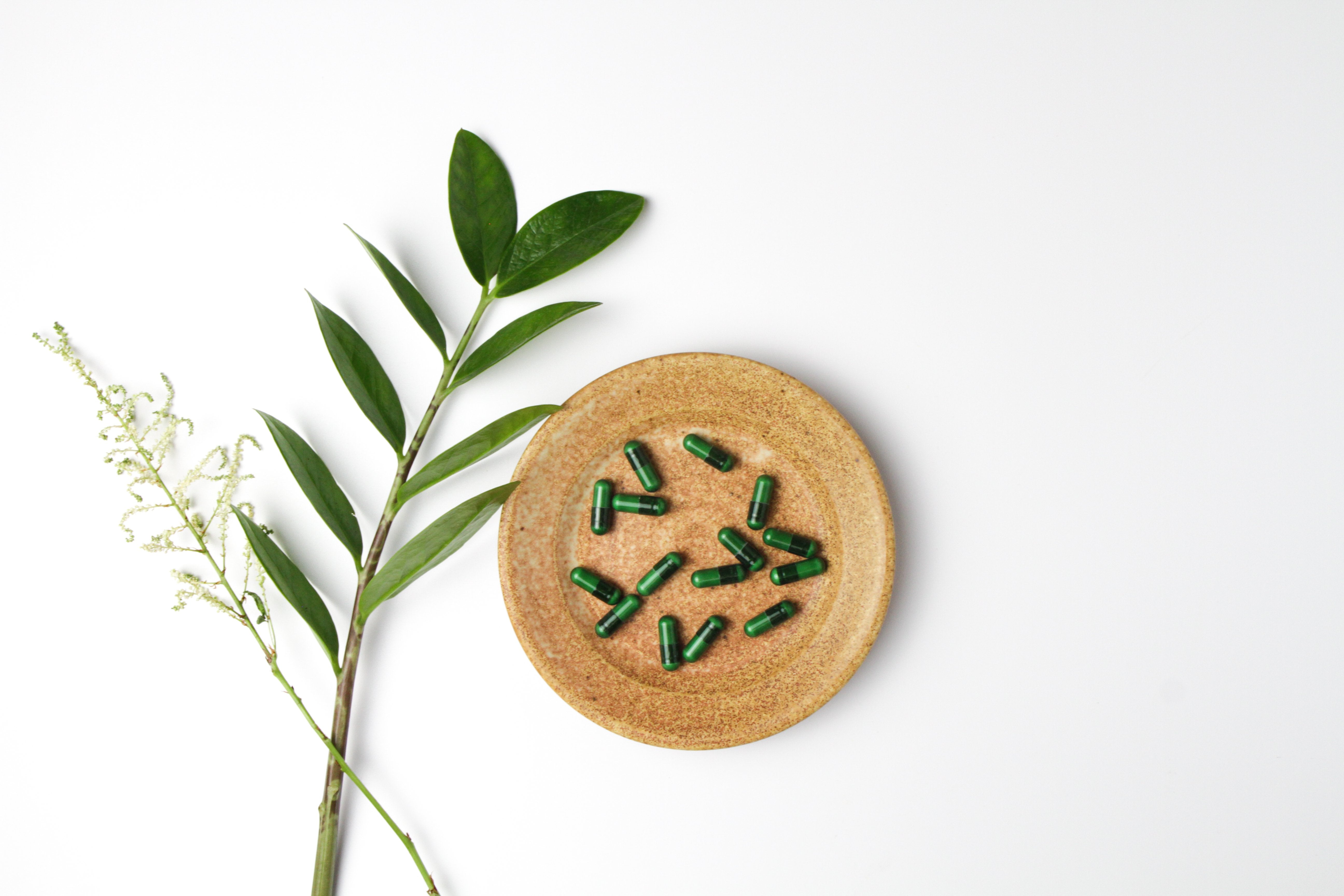 Digestion and Gut Health