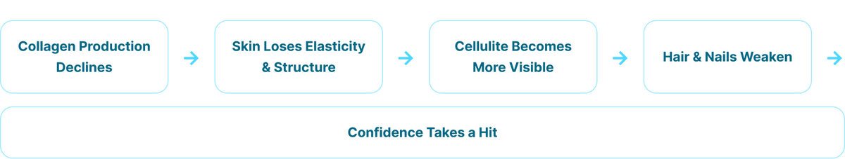 The collagen decline loop diagram