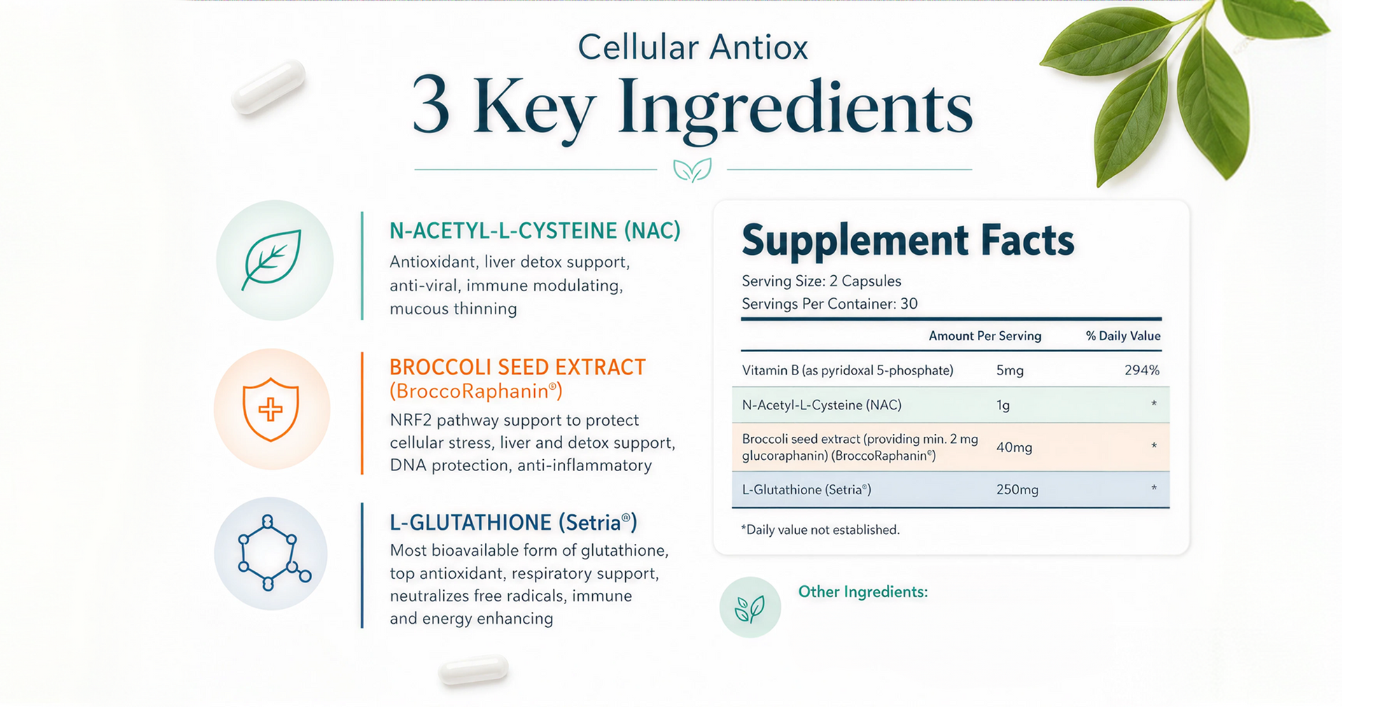 Cellular Antiox — 3 Key Ingredients and Supplement Facts