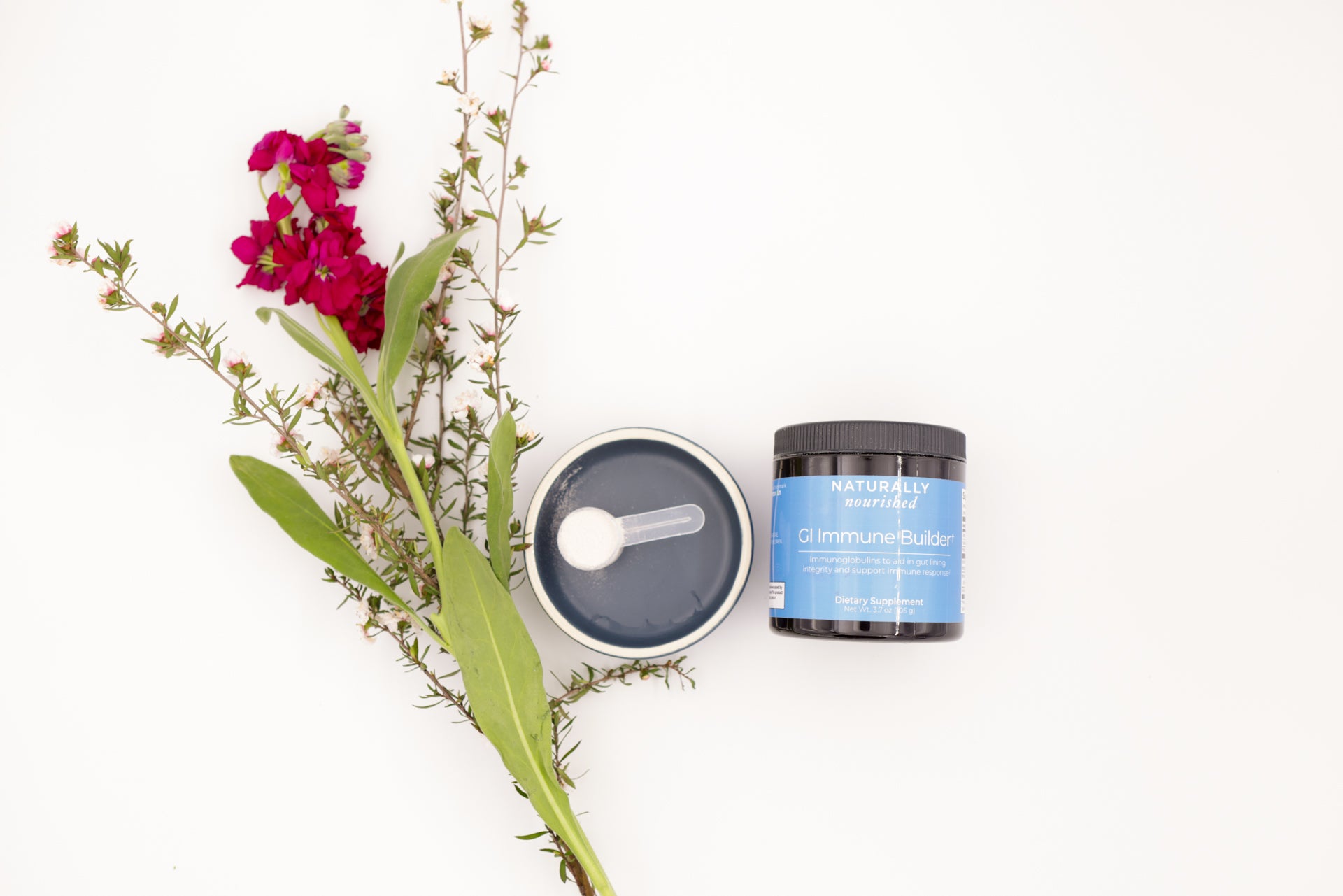 GI Immune Builder