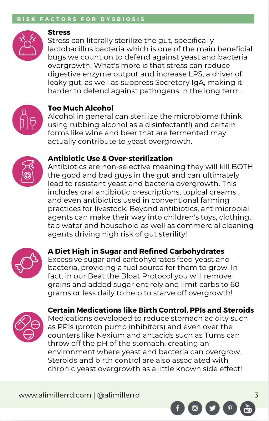 ARCHIVE Beat the Bloat Program + Ebook