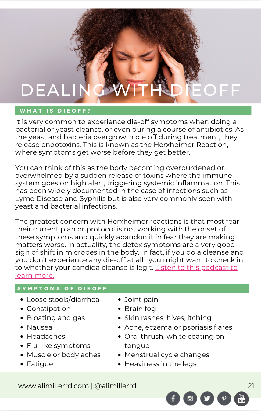 ARCHIVE Beat the Bloat Program + Ebook