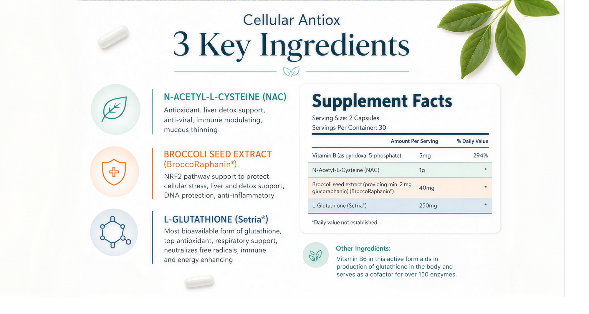 Cellular Antiox — 3 Key Ingredients and Supplement Facts