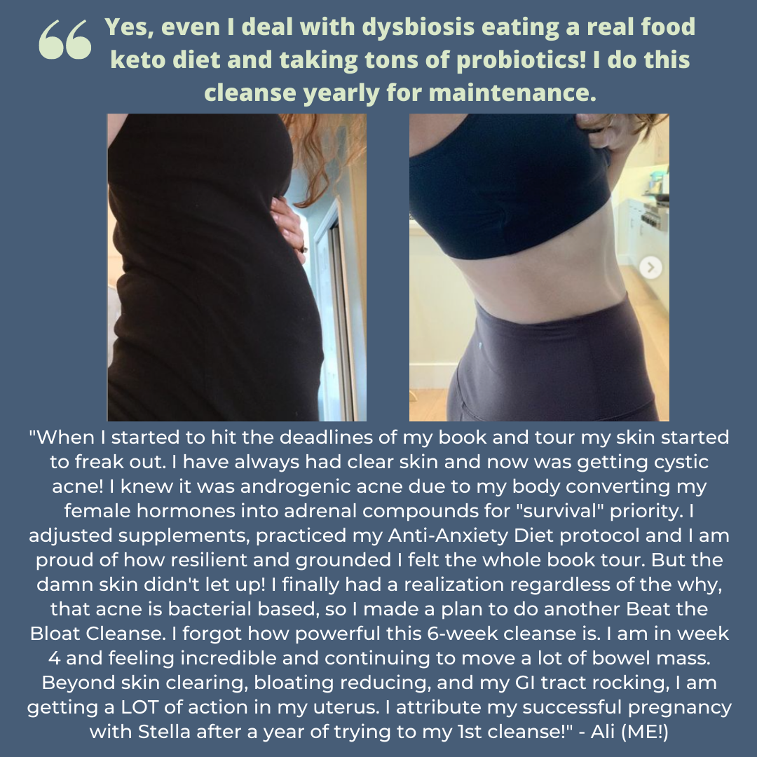 ARCHIVE Beat the Bloat Program + Ebook