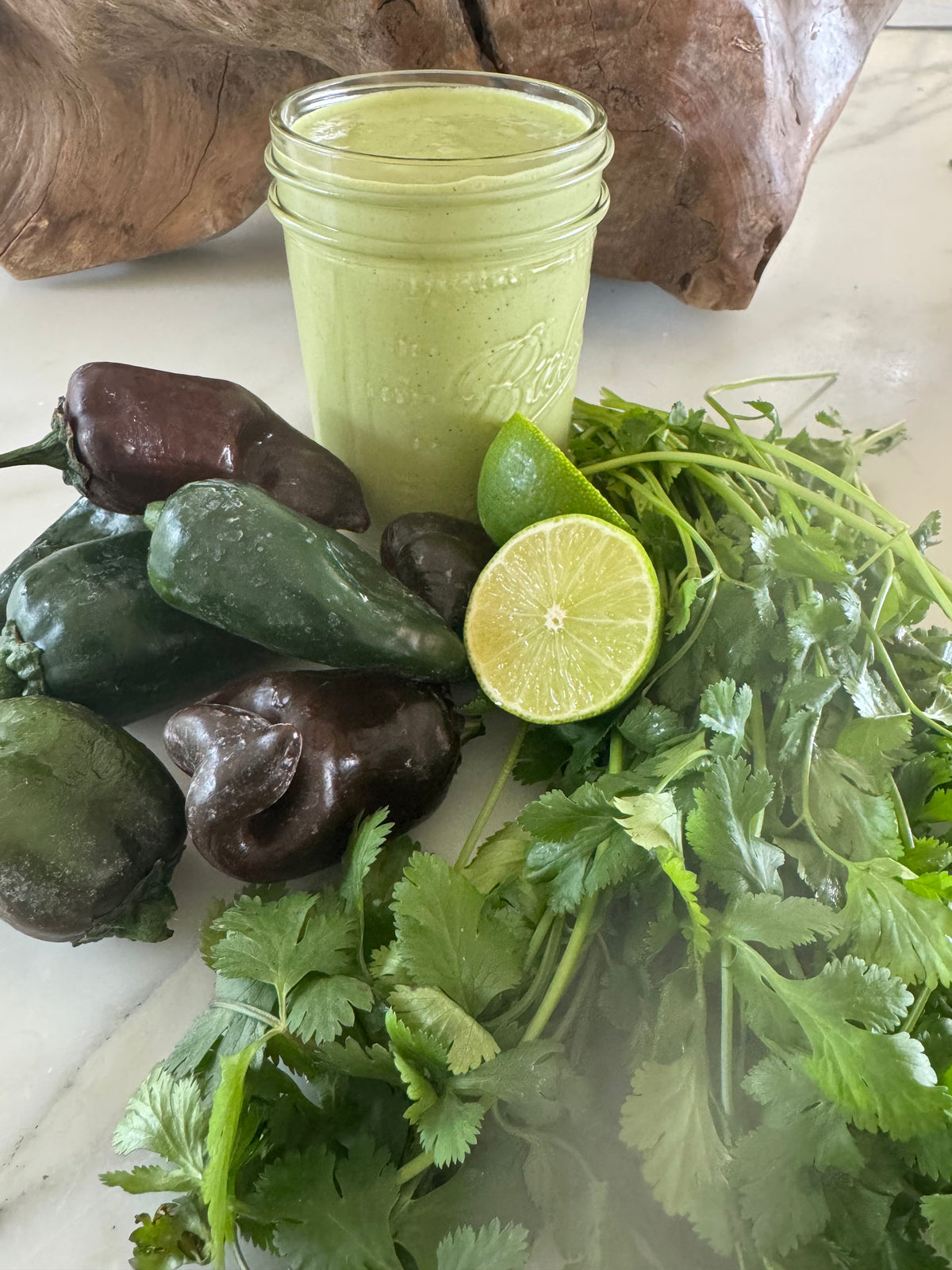 Creamy Poblano Sauce