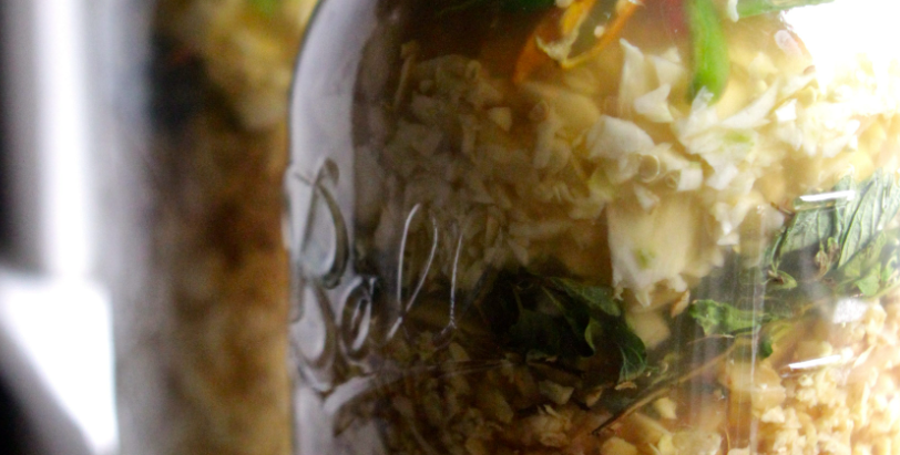 Master Tonic Fermentation