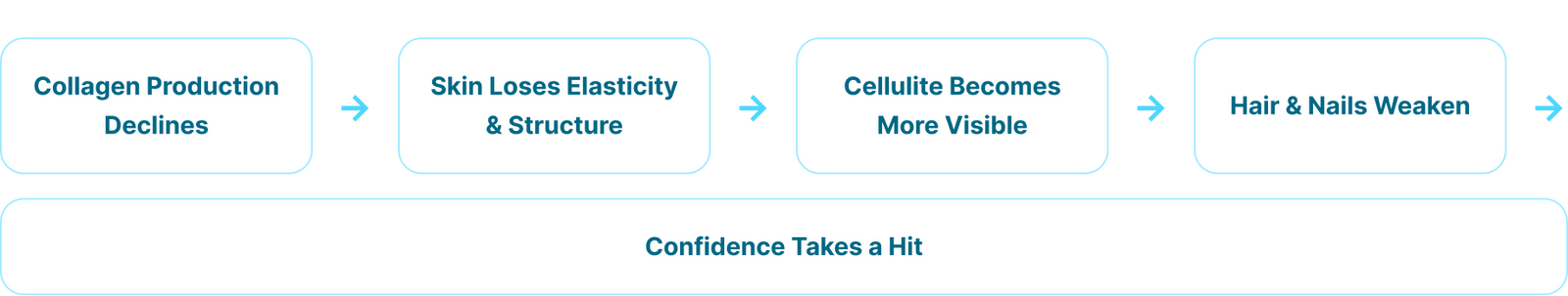 The collagen decline loop diagram