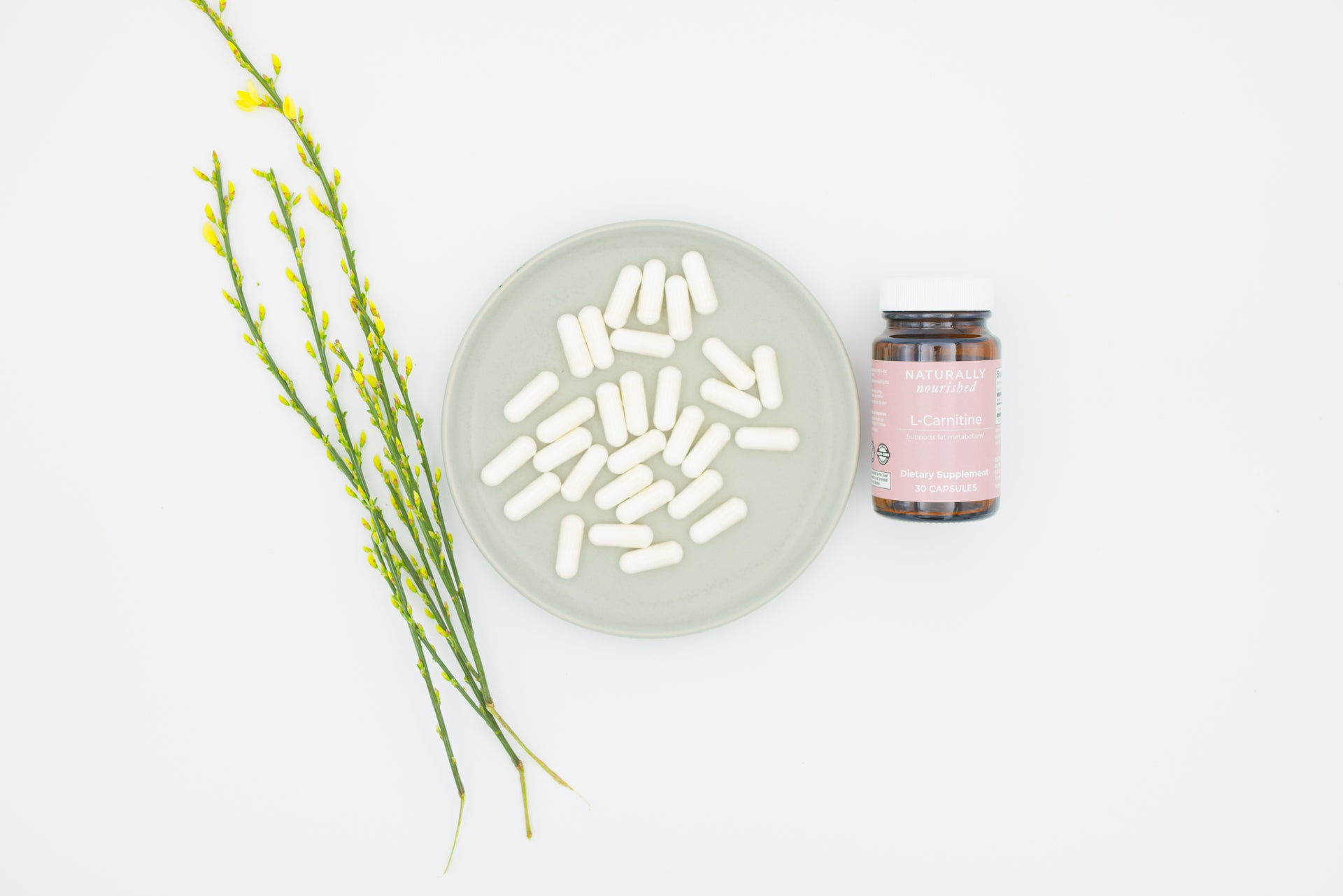 L-Carnitine