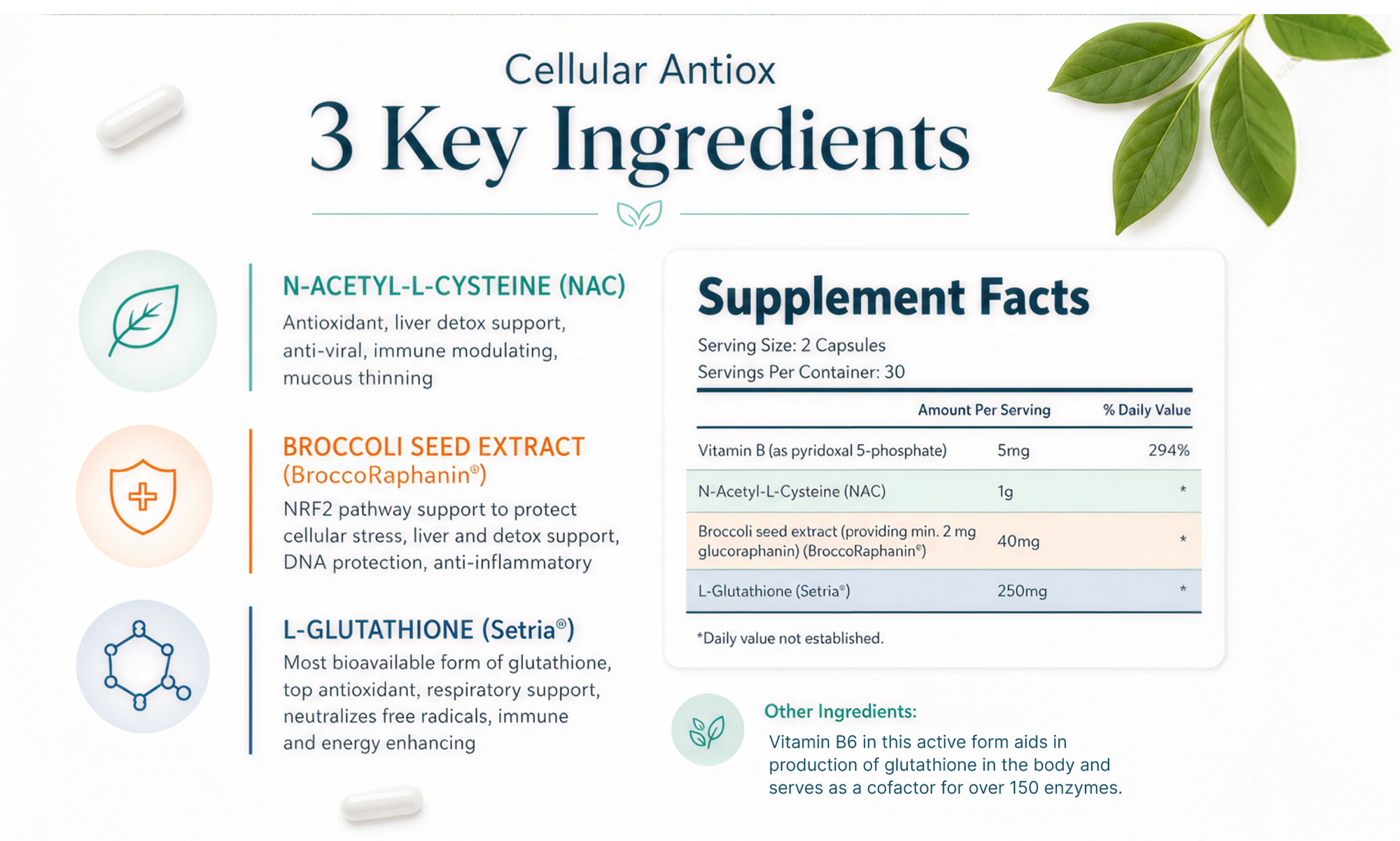 Cellular Antiox — 3 Key Ingredients and Supplement Facts