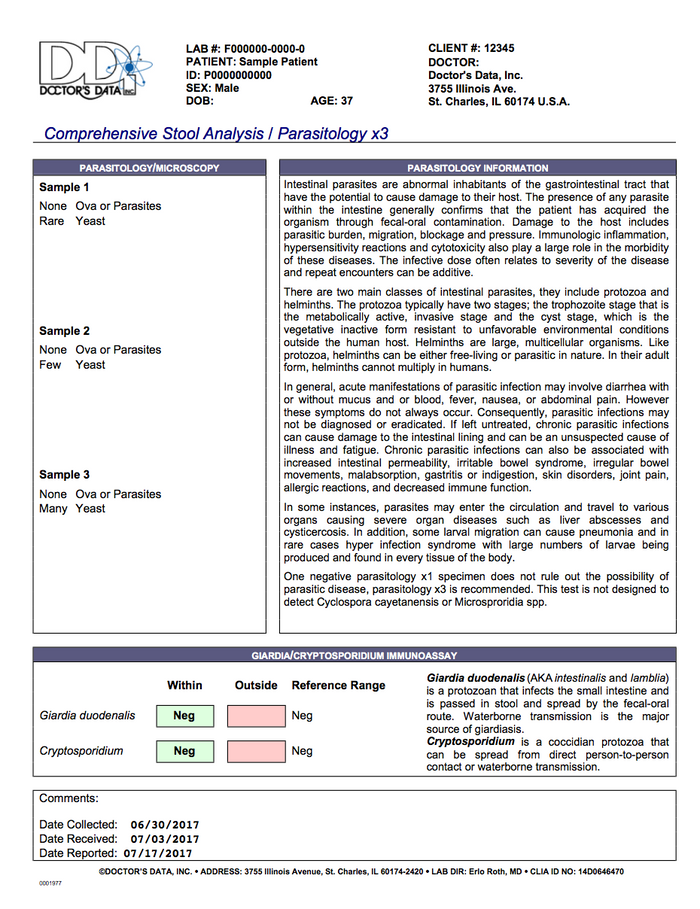 Comprehensive Digestive Stool Analysis 3 Day + Parasitology – Naturally ...