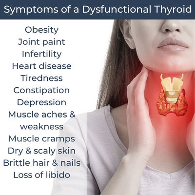 Thyroid Optimizer